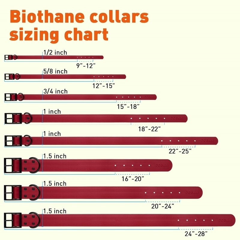 Dogline Biothane Waterproof Collar size chart