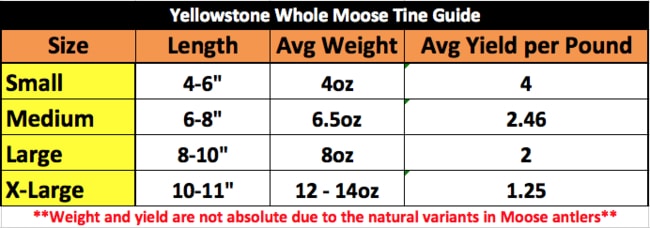 Yellowstone Moose Tines Size Guide
