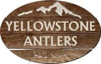 Yellowstone Antlers | PrestigeProductsEast.com