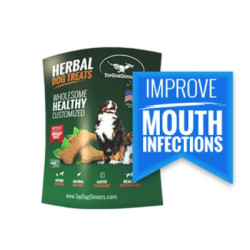 4oz Herbal Dog Beef Treats (Mouth Infections)