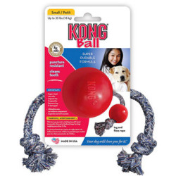 Kong® Ball w/ Rope | PrestigeProductsEast.com
