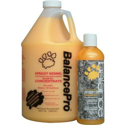 BALANCE Apricot Kernel Pet Shampoo | PrestigeProductsEast.com