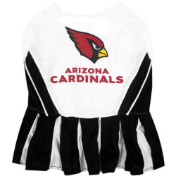 Arizona Cardinals - Cheerleader Dress | PrestigeProductsEast.com