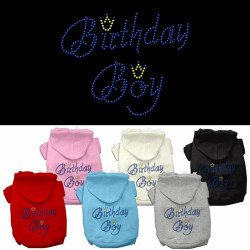 Birthday Boy Rhinestone Hoodie | PrestigeProductsEast.com