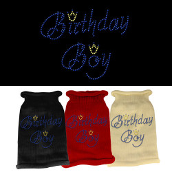 Birthday Boy Rhinestone Knit Pet Sweater | PrestigeProductsEast.com