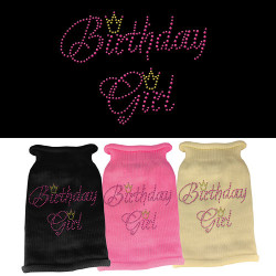 Birthday Girl Rhinestone Knit Pet Sweater | PrestigeProductsEast.com
