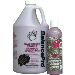 BALANCE Blackberry Vanilla Pet Shampoo | PrestigeProductsEast.com
