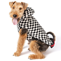 Checkerboard Hoodie Wool Dog Sweater | PrestigeProductsEast.com