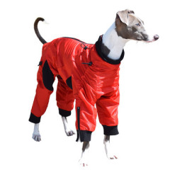 "Classy" Dog Coat - Long Leg Dog | PrestigeProductsEast.com