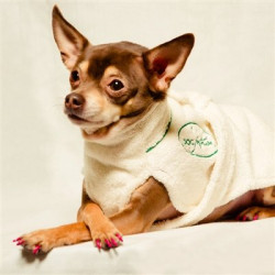 Dog Bathrobe by Dog Fashion Spa | PrestigeProductsEast.com