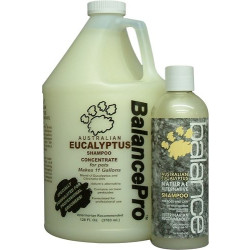 BALANCE Eucalyptus Pet Shampoo | PrestigeProductsEast.com