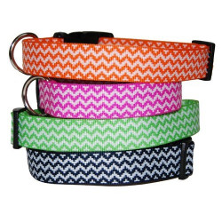 Chevron Collars and Leads | PrestigeProductsEast.com