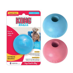 Kong® Puppy Ball w/ Hole | PrestigeProductsEast.com