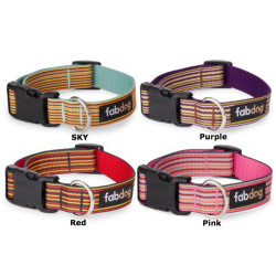 Mini Stripe Collars and Leads | PrestigeProductsEast.com
