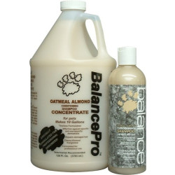 BALANCE Oatmeal Almond Pet Shampoo | PrestigeProductsEast.com