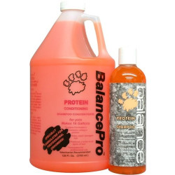 Protein Enriched Pet Shampoo | PrestigeProductsEast.com