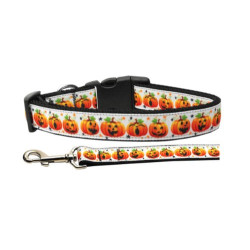 Pumpkin Parade Nylon Ribbon Collars | PrestigeProductsEast.com