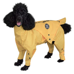 Rainy Dog Raincoat | PrestigeProductsEast.com