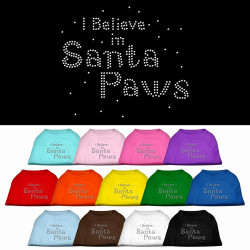 I Believe in Santa Paws Rhinestone Shirt | PrestigeProductsEast.com