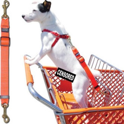 Shopping Cart Tether | PrestigeProductsEast.com