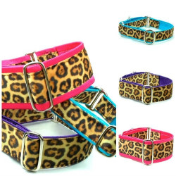 Soft Kitty Exclusive Collar and Leads | PrestigeProductsEast.com