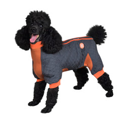 Springy Dog Coat | PrestigeProductsEast.com
