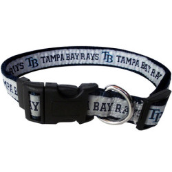 Tampa Bay Rays Dog Collar and Leash | PrestigeProductsEast.com