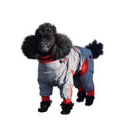 "Zippy" Dog Coat - Short Leg Dog | PrestigeProductsEast.com