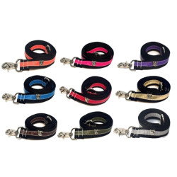Zoomies City Matching Leads | PrestigeProductsEast.com