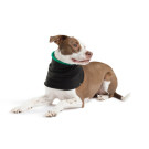 Gold Paw Series Snood | PrestigeProductsEast.com