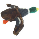 Mallard Duck Plush Toy | PrestigeProductsEast.com