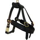 Aspen Leather Dog Harness | PrestigeProductsEast.com