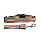 Autumn Stripes Nylon Ribbon Collars | PrestigeProductsEast.com