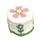 Garden Baby Cake | PrestigeProductsEast.com