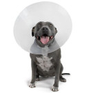 Betsy Clear™ Recovery Collar | PrestigeProductsEast.com