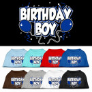 Birthday Boy Screen Print Shirts | PrestigeProductsEast.com