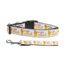 Cute Chick Nylon Ribbon Collars and Leads | PrestigeProductsEast.com