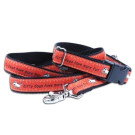 Dirty Dogs Have More Fun Collars and leads | PrestigeProductsEast.com