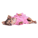 Dog Bathrobe - Couture Pink | PrestigeProductsEast.com