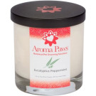 Eucalyptus Peppermint Candle (12oz) | PrestigeProductsEast.com
