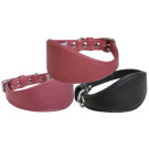 Hound Plain Dog Collar | PrestigeProductsEast.com