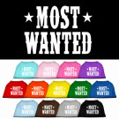 Most Wanted Screen Print Pet Shirt | PrestigeProductsEast.com