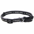 Oakland Raiders Collar and Leash | PrestigeProductsEast.com