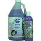 BALANCE Plumeria Pet Shampoo | PrestigeProductsEast.com