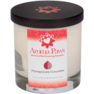 Pomegranate Cucumber Candle (12oz) | PrestigeProductsEast.com