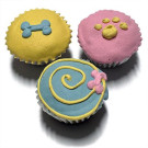 Summer mini Cupcakes | PrestigeProductsEast.com