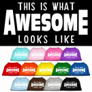 This is What Awesome Looks Like Screen Print Pet Shirt | PrestigeProductsEast.com