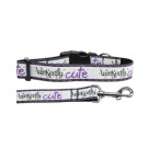 Witch and Famous Nylon Ribbon Collars | PrestigeProductsEast.com