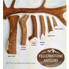 Premium Quality Grade A - Elk Antlers | PrestigeProductsEast.com