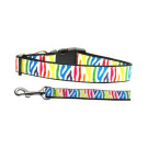 Zebra Rainbow Nylon Ribbon Collars | PrestigeProductsEast.com